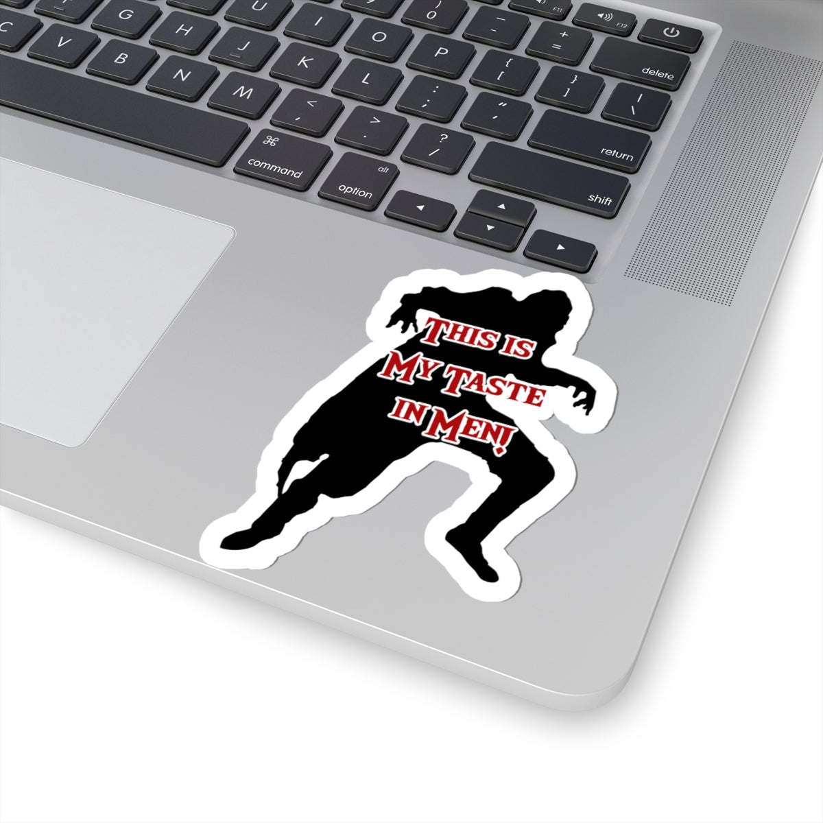 Lead Singer-Cut Stickers for  My taste in Men, Laptop Decals, Gifts, Party Favors, Humor Stickers, Cute Decoration